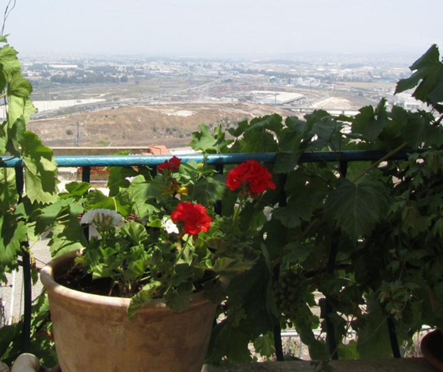 The Artist'S House Overlooking The Bay Of Haifa Buitenkant foto